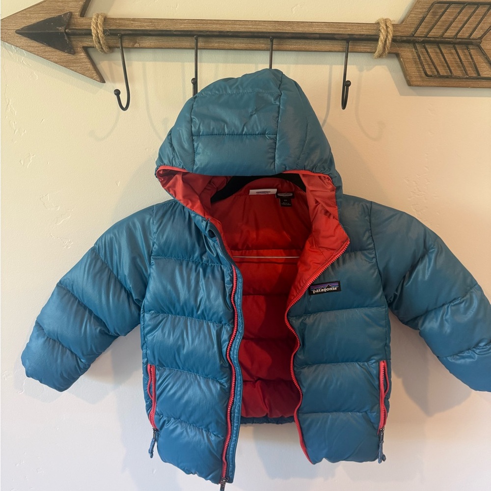Patagonia Teal  Hi-Loft Down Hooded Puffer Jacket